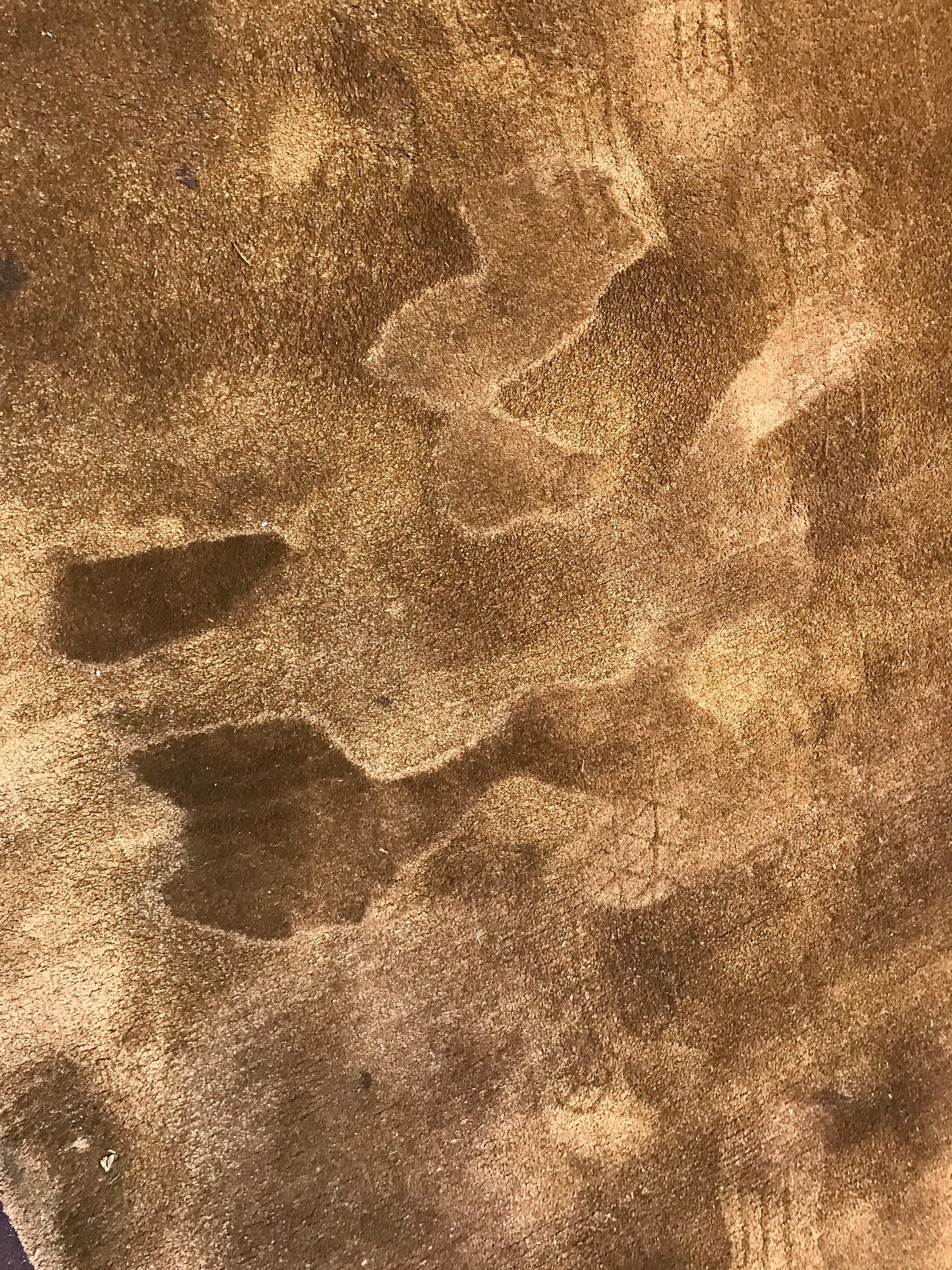 TAGE, 50% Silk/ 50% Wool, Class 12 Tufted Rug - R32-302-01-M-19